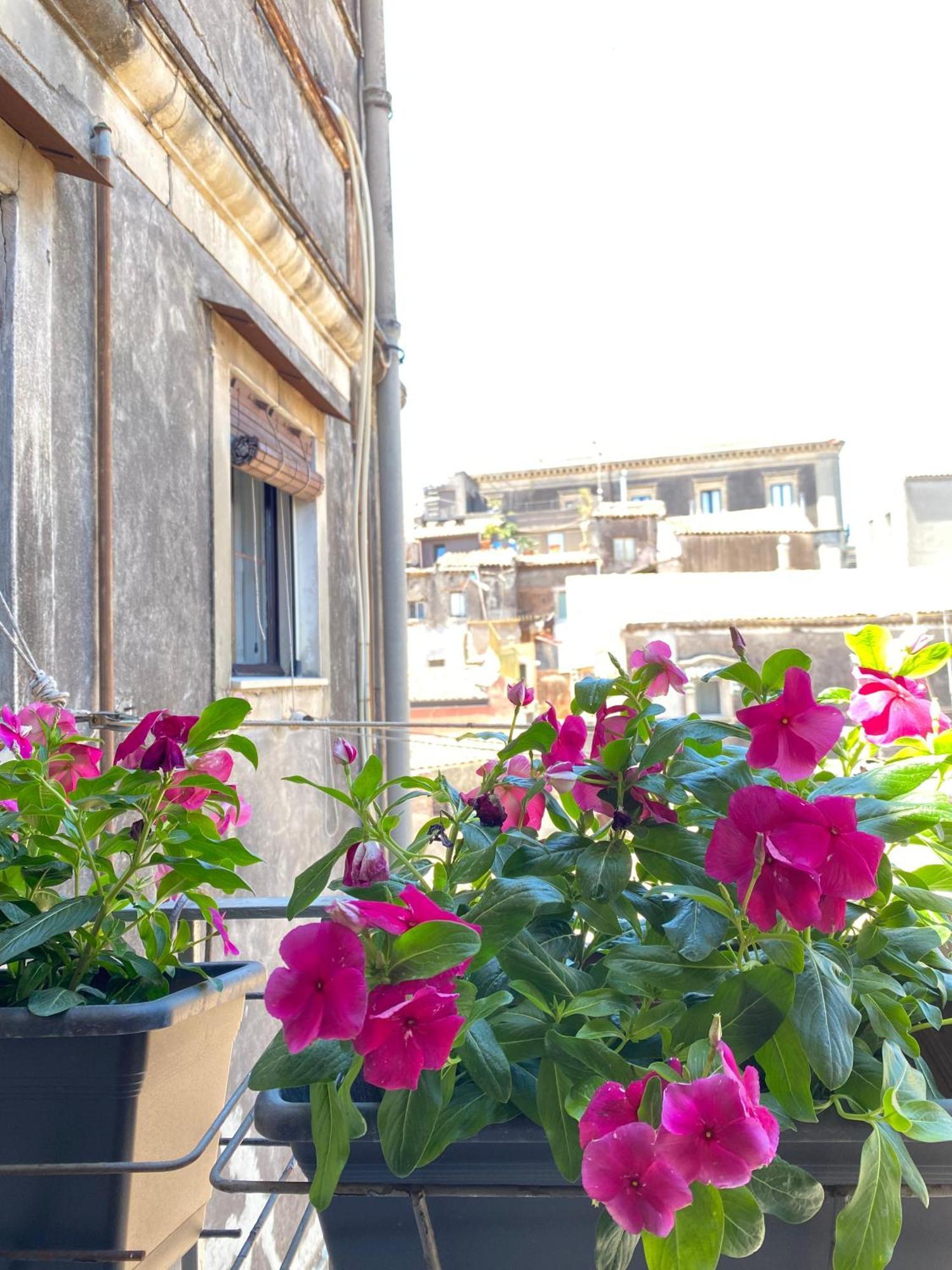 Dimora Dei Minoriti Bed & Breakfast CTA Eksteriør bilde